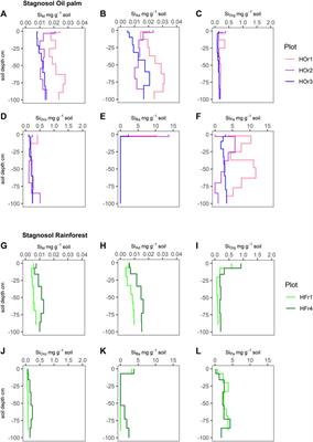 Effects of turning rainforest into oil-palm plantations on silicon pools in soils within the first 20 years after the transformation
